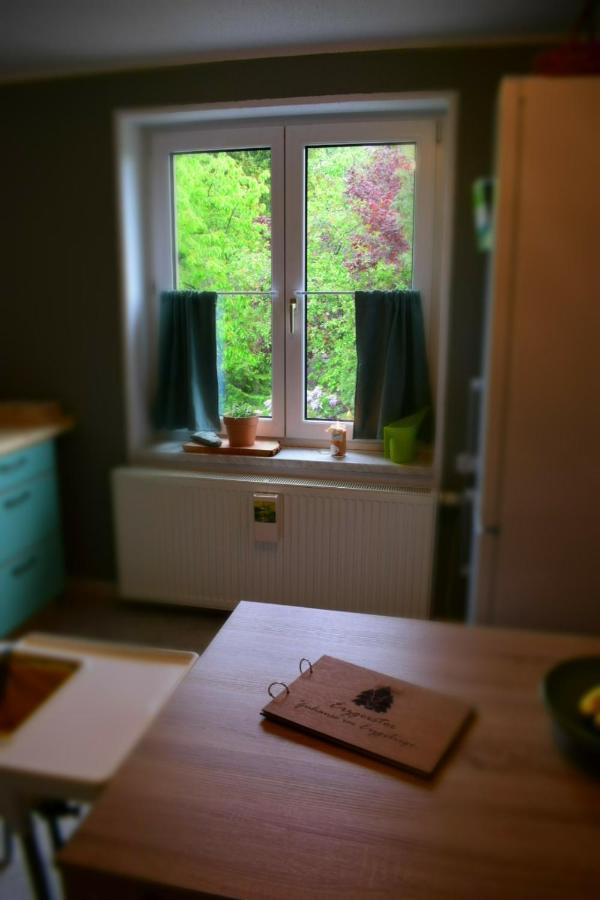 Ferienwohnung Juedel Mit Saunanutzung Gruenhain-Beierfeld Екстер'єр фото
